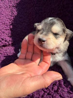 images/J-Wurf/Jane Fonda/90651f6e-d394-4979-8001-46b5cff85ebd.jpg